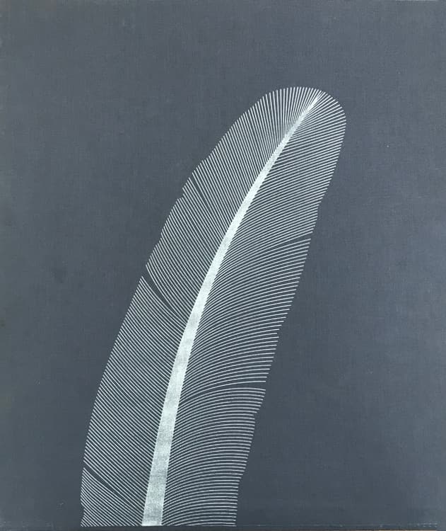 bigfatduckcover