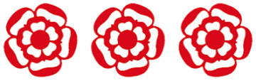 3 ROSETTE